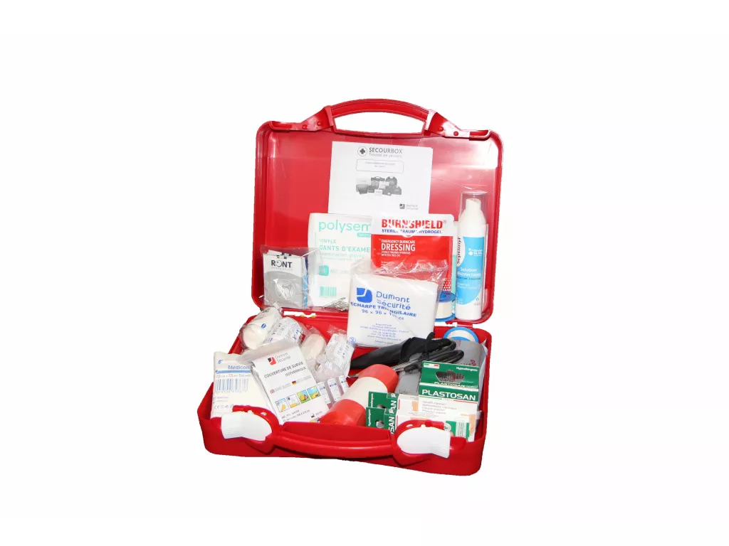 TTBDDM 2 Pièces Trousse à Médicaments, Mini Kits de Premiers Secours  Portables, Trousse médicale Portable, pour Home Office Camping en Plein air